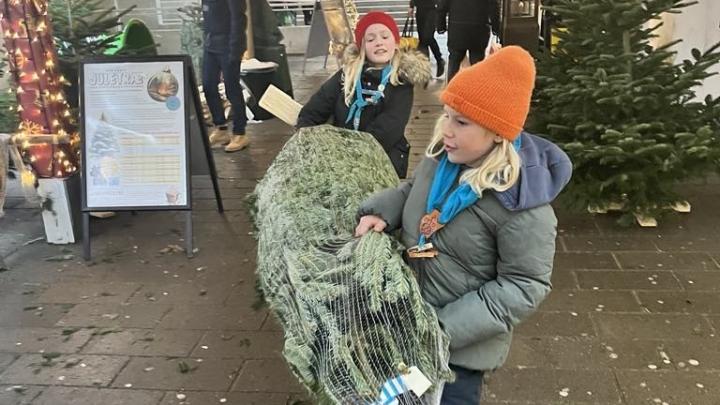 2 spejdere sælger juletræer